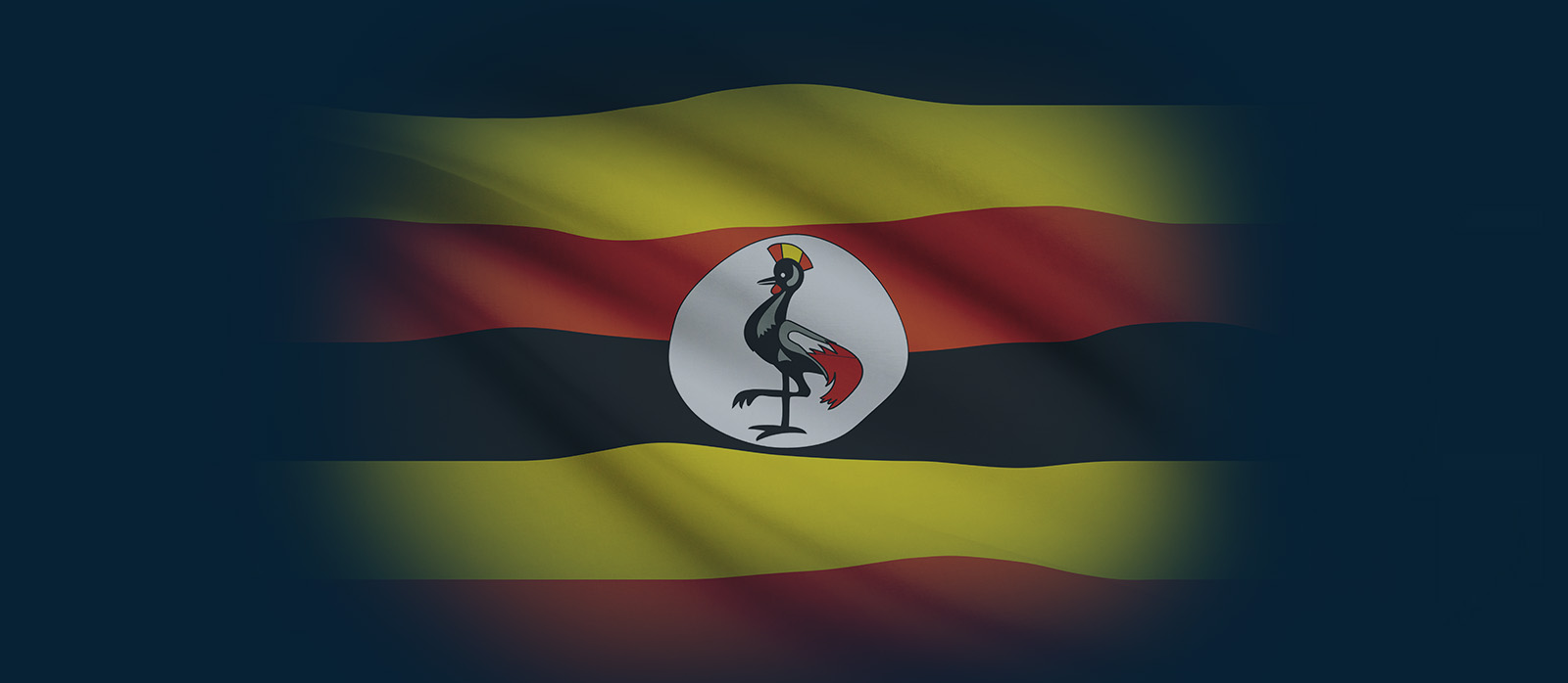 Send a Parcel To Uganda From UK, Parcel Delivery Service to Uganda